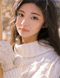 《美女视频黄的全是免费》