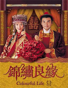 替身丐婿陪回家