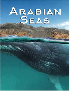 重返十八拒绝校花