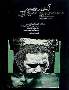 性感女:朋友的女朋友