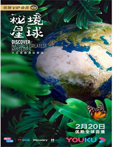 校花的贴身男闺蜜